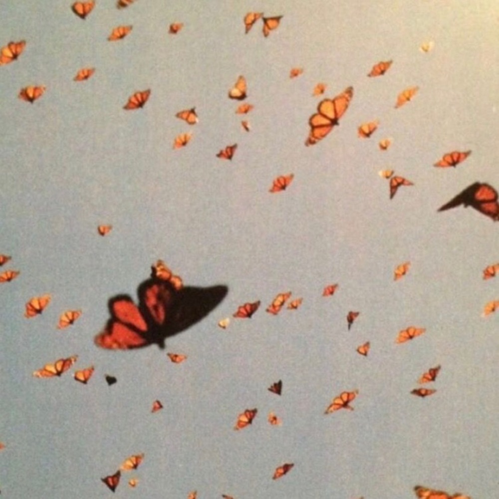 Meet your Posher, Avery